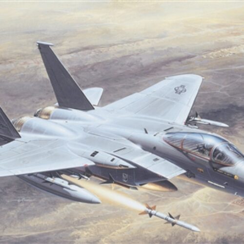 F-15C eagle 1/48 italeri modellismo statico