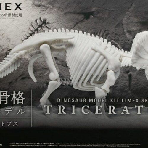 Dinosaur Model Kit Limex Skeleton Triceratops  BANDAI 78388